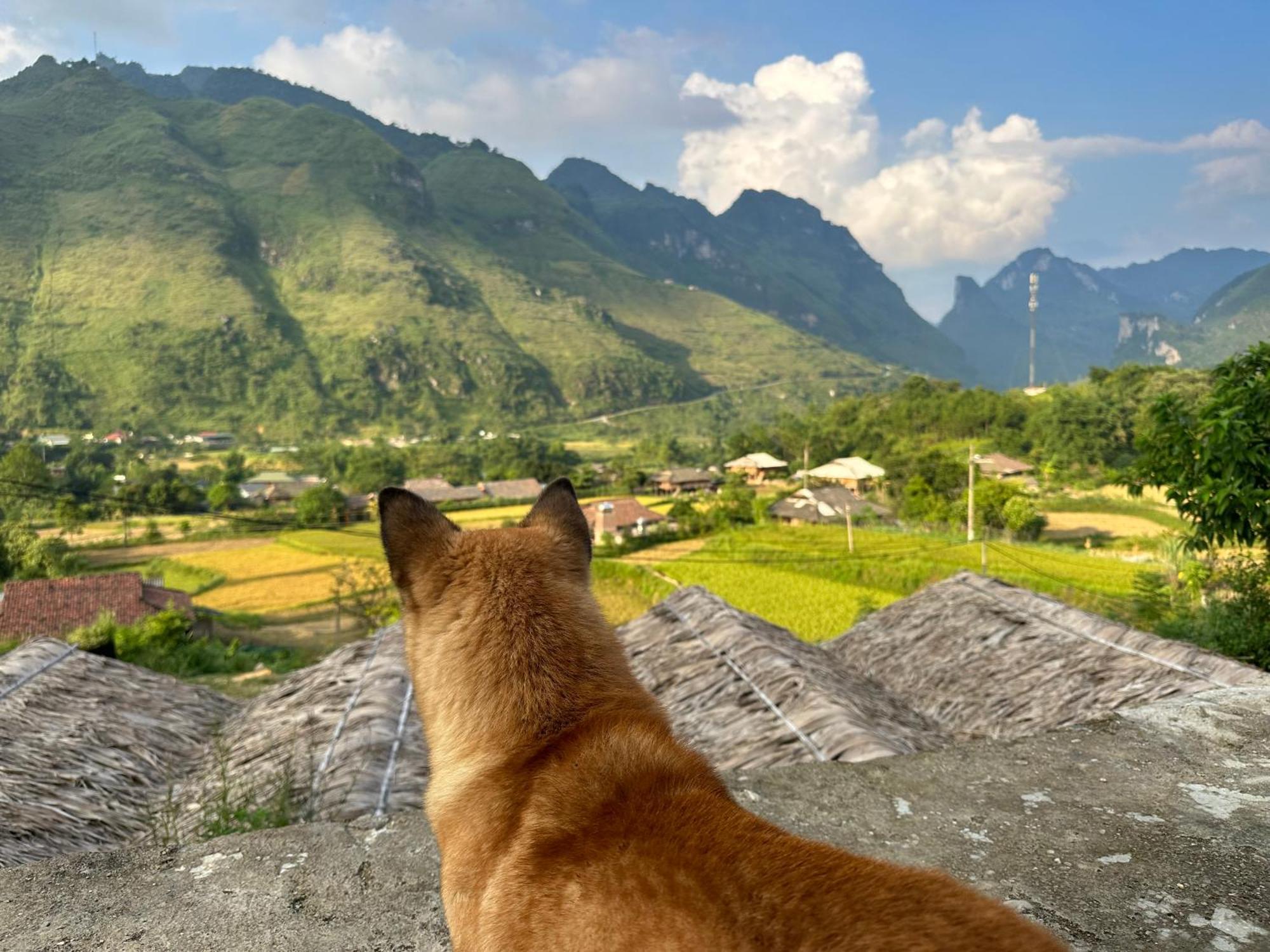 Du Gia Cozy Homestay & Tours Làng Cac Esterno foto