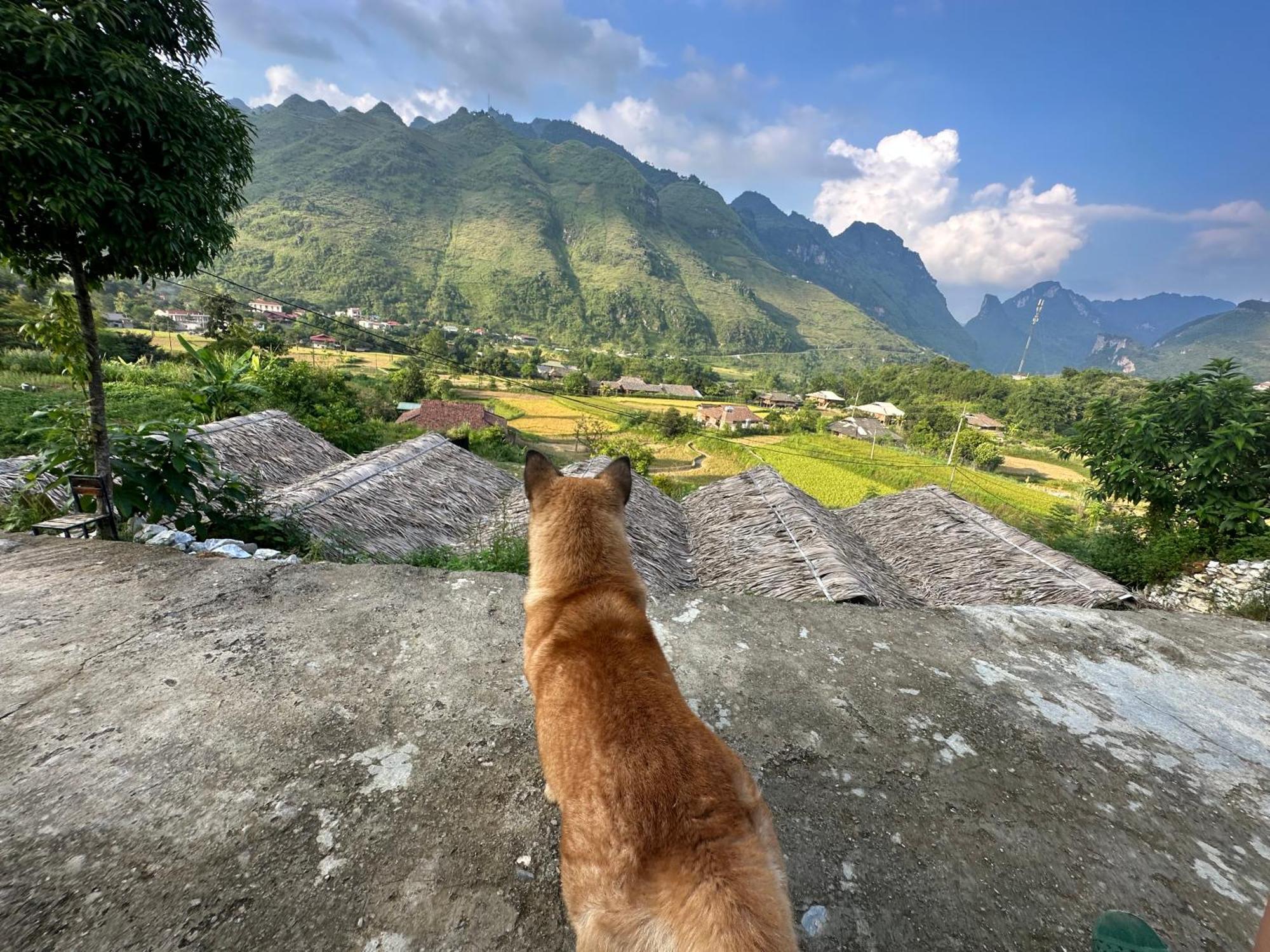 Du Gia Cozy Homestay & Tours Làng Cac Esterno foto